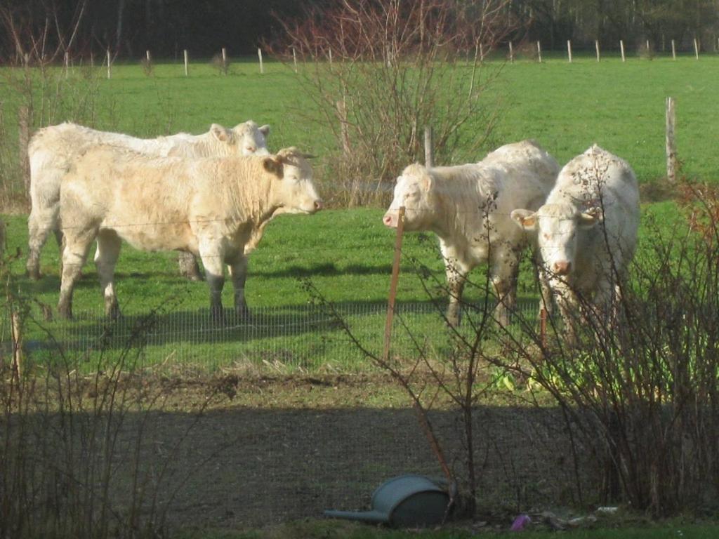 Au Jardin Fleuri Villa Vauxaillon Kültér fotó