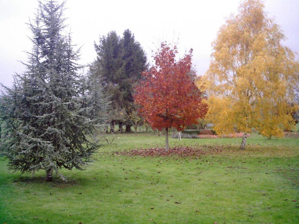 Au Jardin Fleuri Villa Vauxaillon Kültér fotó