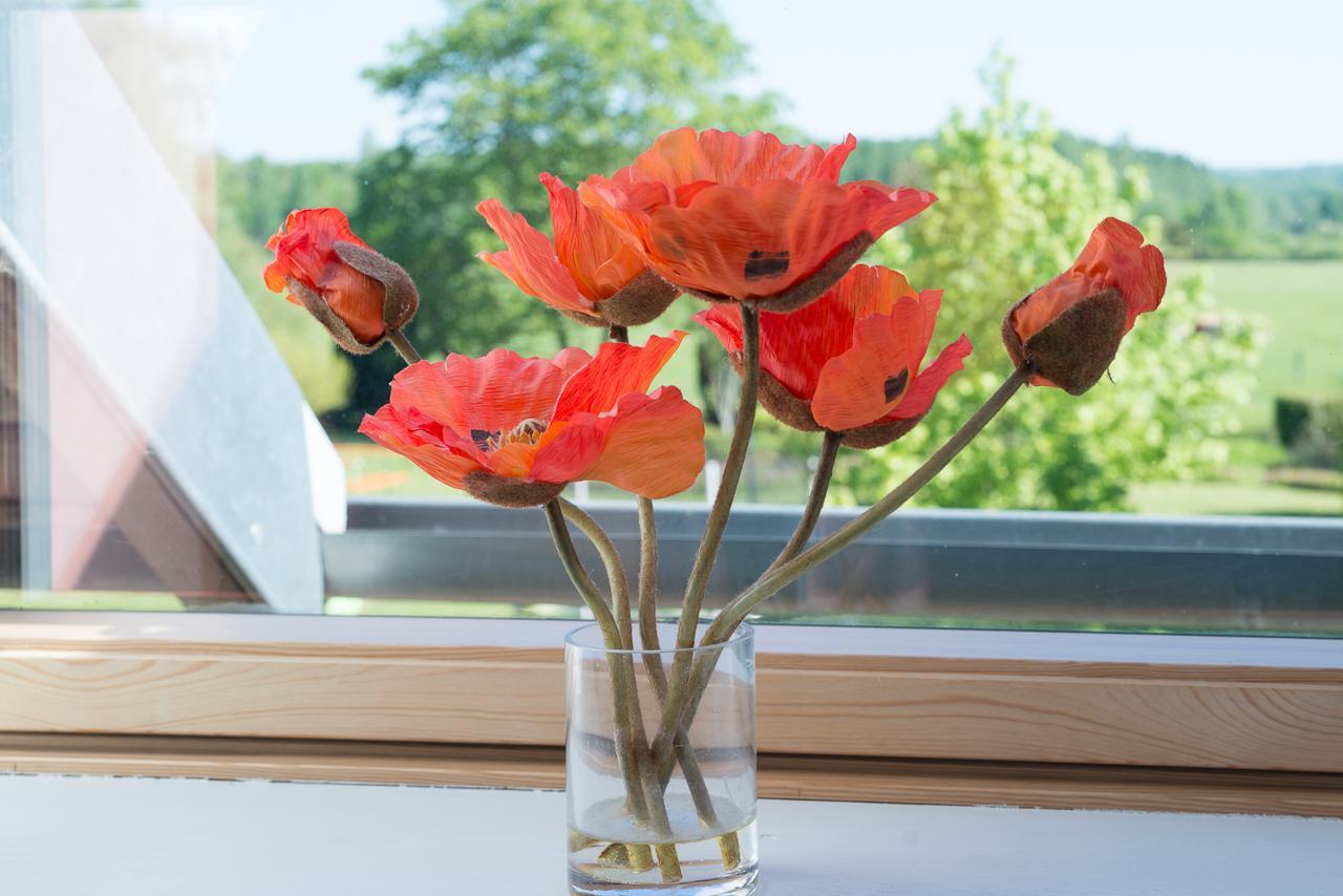 Au Jardin Fleuri Villa Vauxaillon Kültér fotó