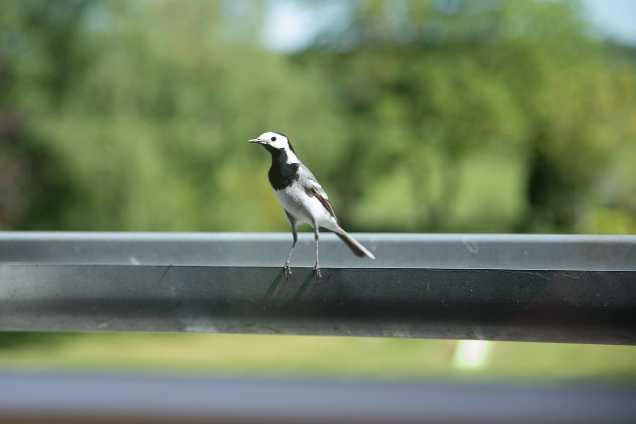 Au Jardin Fleuri Villa Vauxaillon Kültér fotó